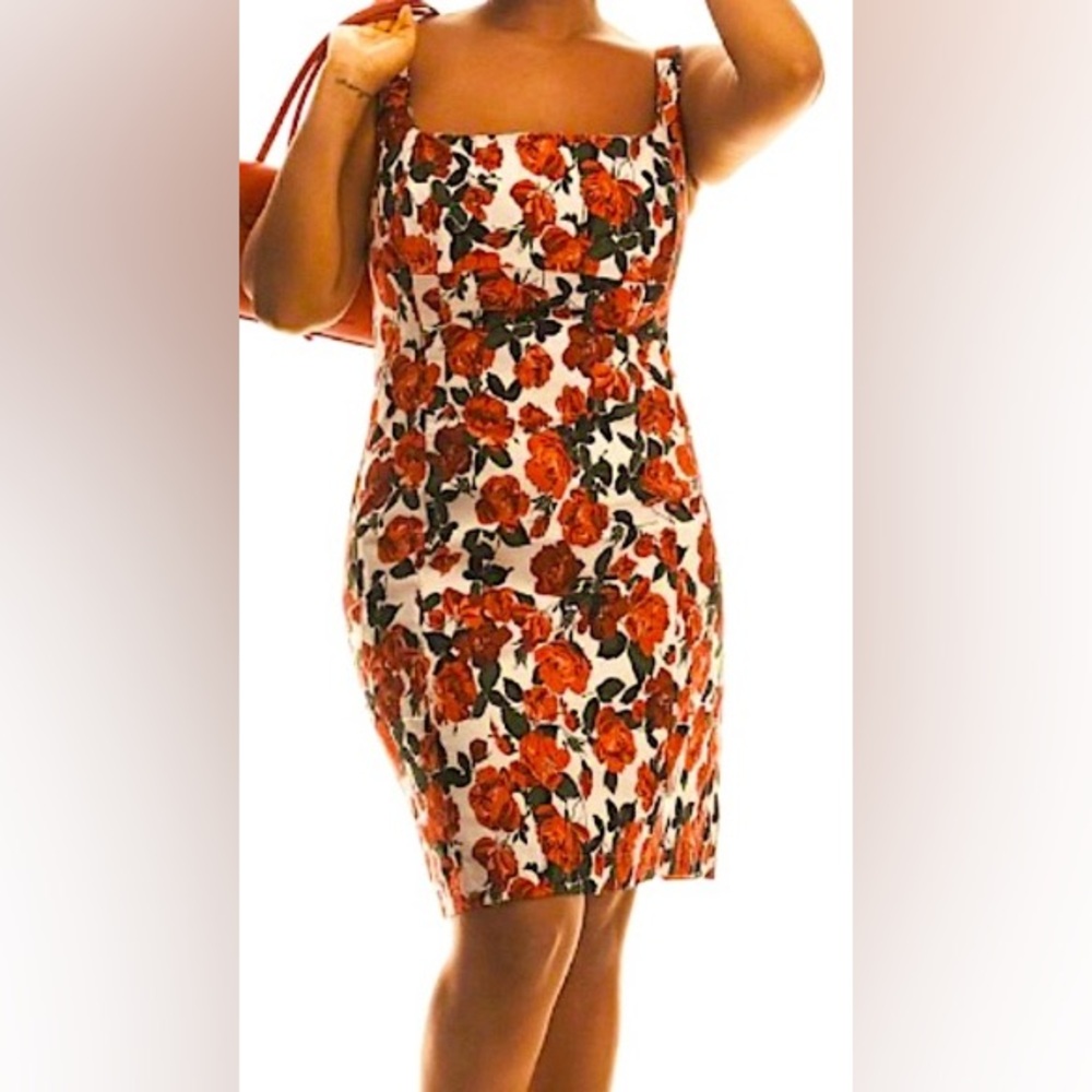 Maeve/Anthro Sleeveless Square-Neck Knee-Length Dress/Red & Green Rose - Size L